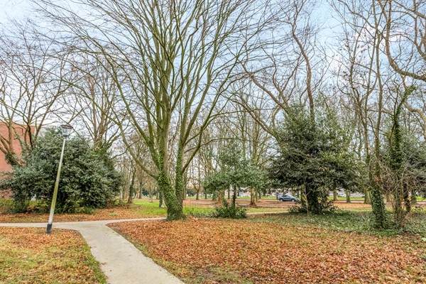 Azuurweg 272 Tilburg-35.jpg